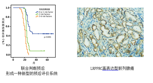 说明: http://kyc.xiyi.edu.cn/__local/9/6E/69/E368CD6236531618DC67DA7E9AF_9338A3F9_2E4C4.png